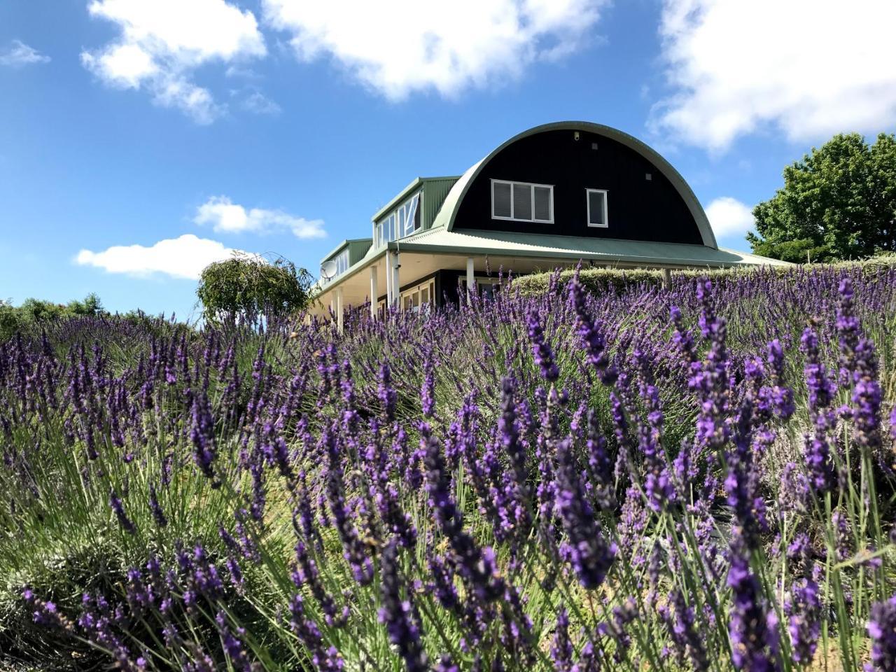 Lavender Hill Bed & Breakfast Riverhead Exterior photo